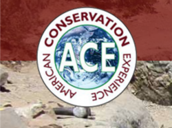 American Conservation Experience
